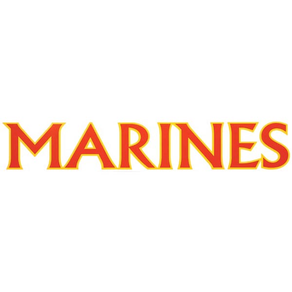 Marine Decal: Marines 15 inch Large Vinyl Transfer  Quantity 10