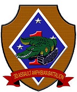 3rd Assault Amphibian Battalion