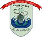 Combat Assault Battalion