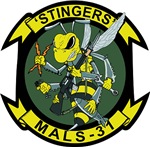 Marine Aviation Logistics Squadron 31 (MALS-31)