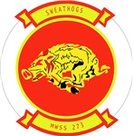 Marine Wing Support Squadron 273
